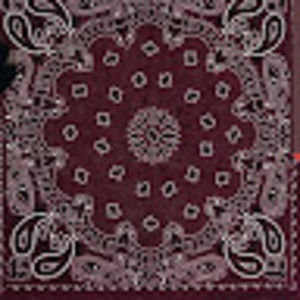 Meet your Posher, Savage